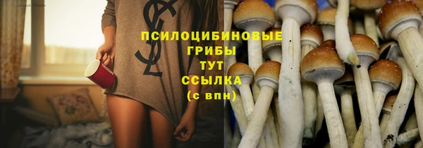 шишки Арсеньев