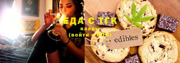 хмурый Аркадак